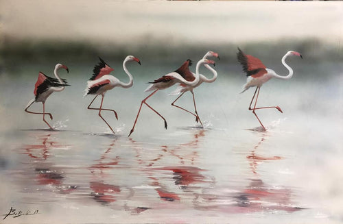 FLAMENCOS del MAR MENOR