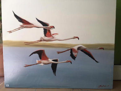 FLAMENCOS al AIRE