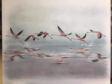 Cargar imagen en el visor de la galería, Flamencos sobre el agua.