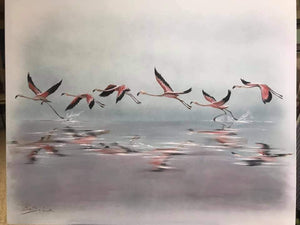 Flamencos sobre el agua.