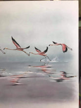 Cargar imagen en el visor de la galería, Flamencos sobre el agua.