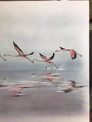 Flamencos sobre el agua.