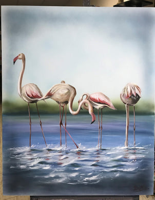 Flamecos sobre el mar menor.