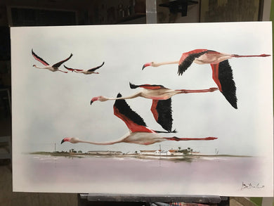Flamencos